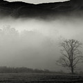 Foggy Mountain-Tennessee